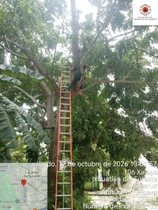 Ixhuatlán del Sureste se declara en alerta permanente por el frente frío 2